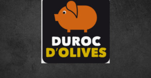  porc Duroc d'olive 