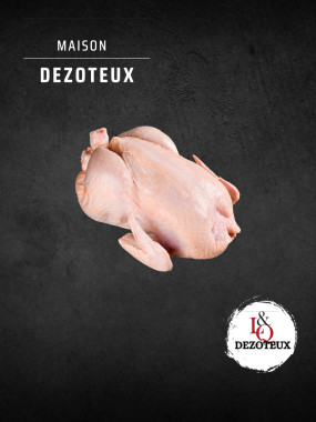 Poule