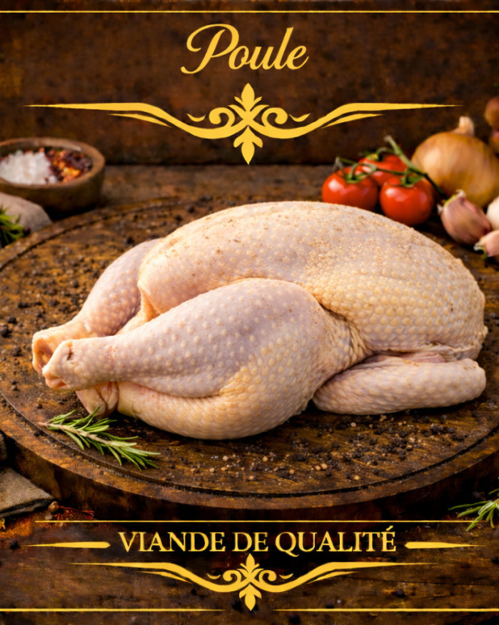 Poule