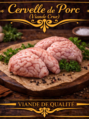 Cervelle de porc 
